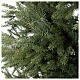 Everest Christmas tree poly feel real lights Moranduzzo 210 cm s2