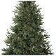 Everest Christmas tree poly feel real lights Moranduzzo 210 cm s3