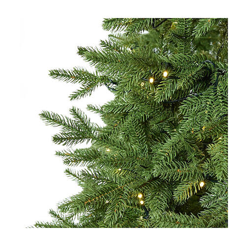 Everest Weihnachtsbaum Real Touch Moranduzzo mit Lichtern, 240 cm 2