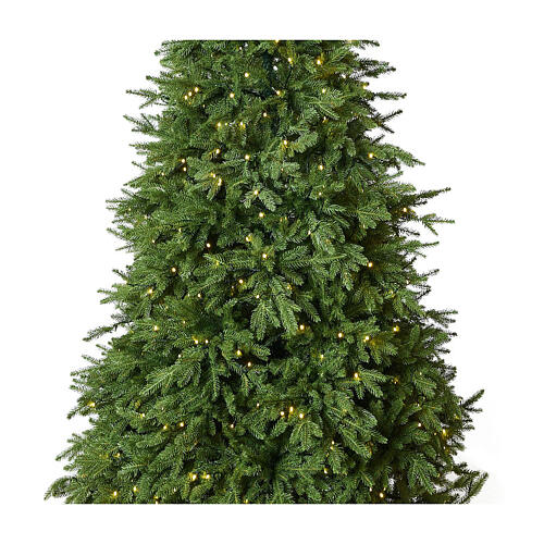 Everest Weihnachtsbaum Real Touch Moranduzzo mit Lichtern, 240 cm 5