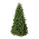 Everest Weihnachtsbaum Real Touch Moranduzzo mit Lichtern, 240 cm s1