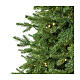 Árvore de Natal Everest Moranduzzo poly feel real 240 cm luzes LED s2