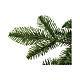 Albero di Natale poly feel real Abete Alto tesino Moranduzzo 240 cm s3