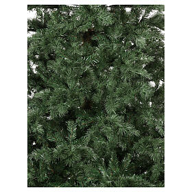 Green Sherwood tree of 240 cm