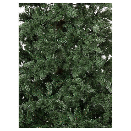 Green Sherwood tree of 240 cm 2