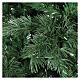 Árbol de Navidad 180 cm Sherwood verde poly s4
