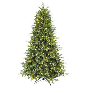 Pluto Christmas tree, green poly, 180 cm, 350 warm white LED lights