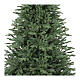 Weihnachtsbaum, Modell New Royal, 180 cm, Polyethylen, grün s2