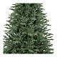 New Royal Christmas tree, green poly, 180 cm s2