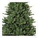 Rockefeller Christmas tree, 240 cm, green poly s2