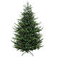 Weihnachtsbaum, Modell Jupiter, 210 cm, Polyethylen, grün s1