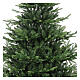 Weihnachtsbaum, Modell Jupiter, 210 cm, Polyethylen, grün s2