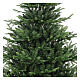 Jupiter Christmas tree, green poly, 270 cm s2