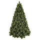 Albero Natale Ariel 210 cm polipropilene verde s1