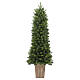 Pinetto Christmas tree 150 cm with PVC vase s1