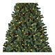 Weisshorn Christmas tree, green with 1050 warm white LED lights, 360 cm s2