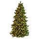 Weihnachtsbaum Poly Joffre Twinkly Pine, 210 cm, 540 LED s3