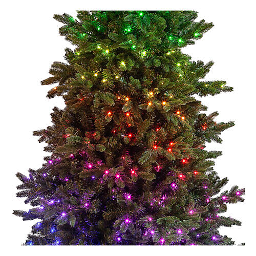 Albero di Natale 210 cm Poly Joffre Twinkly pine 540 LED 2