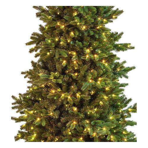 Albero di Natale 210 cm Poly Joffre Twinkly pine 540 LED 4