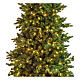Albero di Natale 210 cm Poly Joffre Twinkly pine 540 LED s4