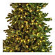 Weihnachtsbaum Poly Joffre, Twinkly Pine, 240 cm, 600 LED s4