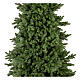 Weihnachtsbaum Poly Joffre, Twinkly Pine, 240 cm, 600 LED s6