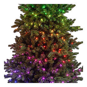 Albero Natale Poly Joffre Twinkly pine 240 cm 600 LED