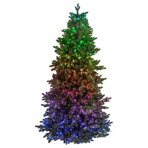 Albero Natale Poly Joffre Twinkly pine 240 cm 600 LED 1