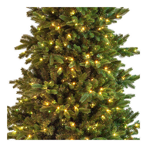 Albero Natale Poly Joffre Twinkly pine 240 cm 600 LED 4