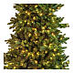 Albero Natale Poly Joffre Twinkly pine 240 cm 600 LED s4