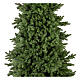 Albero Natale Poly Joffre Twinkly pine 240 cm 600 LED s6