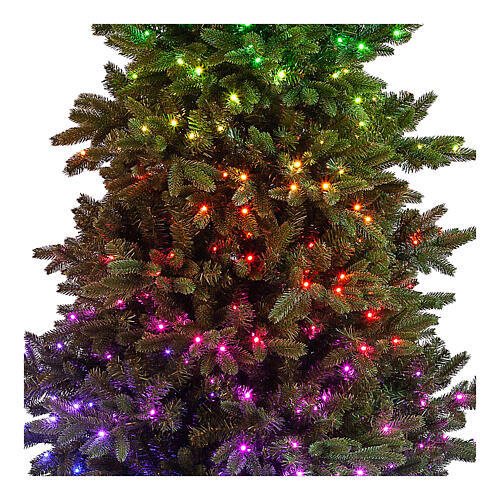Albero Natale verde 600 LED Poly Joffre Twinkly pine 270 cm 2