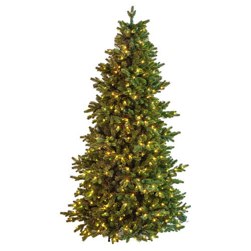 Albero Natale verde 600 LED Poly Joffre Twinkly pine 270 cm 3