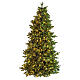 Albero Natale verde 600 LED Poly Joffre Twinkly pine 270 cm s3