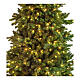 Albero Natale verde 600 LED Poly Joffre Twinkly pine 270 cm s4