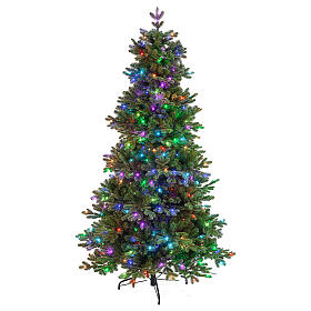 Albero di Natale Poly King 435 LED 210 cm bluetooth