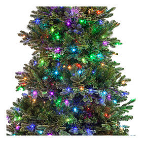 Albero di Natale Poly King 435 LED 210 cm bluetooth