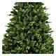 Winter Woodland Brouillard Christmas tree, green poly, 240 cm s2