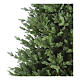 Green Christmas tree, Devoluy by Winter Woodland, 240 cm s3