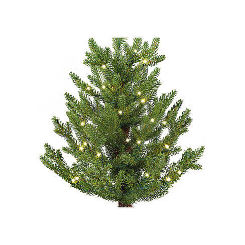 Sapin lumineux pour pot 30 microLEDs 60x40 cm 2