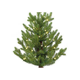 Albero da vaso illuminato 30 microLED 60x40 cm