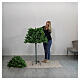 Árvore de Natal pop up verde 150 cm s4