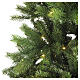 Ottawa Christmas Tree 340 LED 180 cm solar PVC PE warm white s3