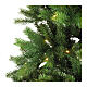 Albero di natale Ottawa 430 LED 210 cm con pannello solare s2