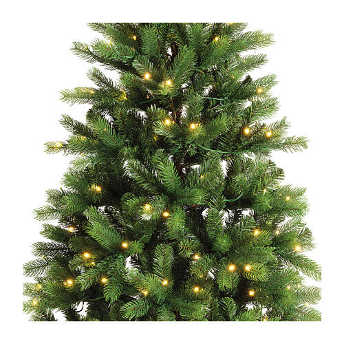 Ottowa Christmas Tree, 580 LEDs, 240 cm 5