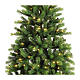 Ottowa Christmas Tree, 580 LEDs, 240 cm s5