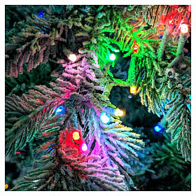 Flocked Christmas tree Pine, 2200 RGB LED lights, 180 cm, poly