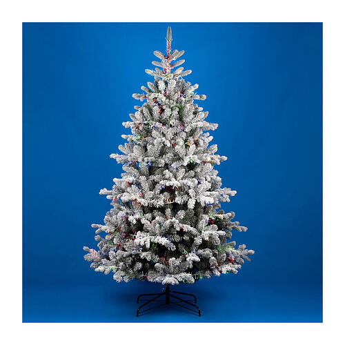 Flocked Christmas tree Pine, 2200 RGB LED lights, 180 cm, poly 1