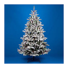 Christmas tree "Pine", 3200 RGB LED lights, 210 cm, flocked poly