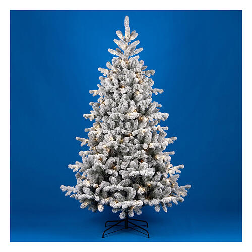 Flocked Christmas tree "Pine", 180 cm, 350 warm white LEDs 1